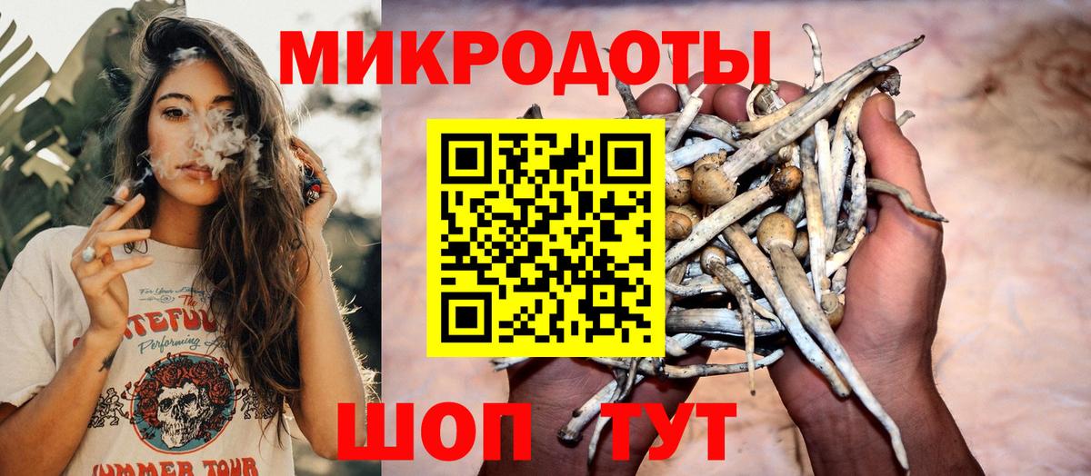 Псилоцибиновые грибы ЛСД Кемерово